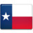 Texas Flag Icon